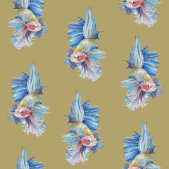 Seamless pattern with fighting Siamese aquarium fish betta splendens textured painted watercolor on mustard yellow hand painted background