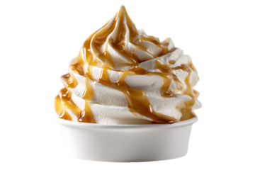 Delicious Caramel Swirl Frozen Yogurt