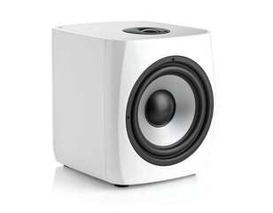 Obraz premium White square subwoofer