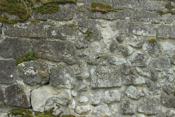 Old Stone Wall with Moss and Vines