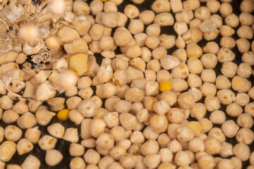 seeds for cooking porridge, poured into the water before cooking a large number of chickpeas