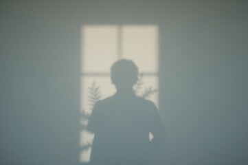 Obraz premium Shadowy figure, plant, indoor window, sunlit wall, calm