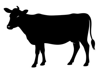 cow   icon,jersey cow  black silhouette vector,cow  icon vector 