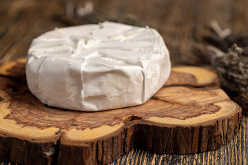 cheese covered with mold on the table, round processed cheese in white edible mold