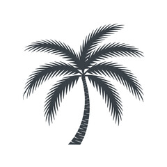 Stylized palm tree silhouette isolated on white background