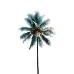Teal palm tree, vibrant, stylized, isolated on black background