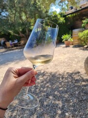 Obraz premium glass of wine in hand