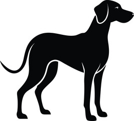 Plott Hound silhouette of muscular american hunting dog breed in side pose isolated on white background