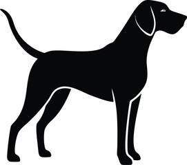 American English Coonhound silhouette of tall athletic hunting dog breed in side pose isolated on white background