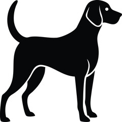 American Foxhound silhouette of tall lean american hunting dog breed in side pose isolated on white background