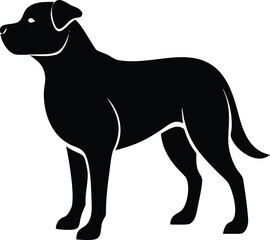 Chinook silhouette of strong muscular american sled dog breed in standing pose isolated on white background