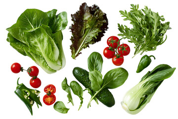 Fresh vegetables,  lettuce, spinach, cherry tomatoes, and peppers.