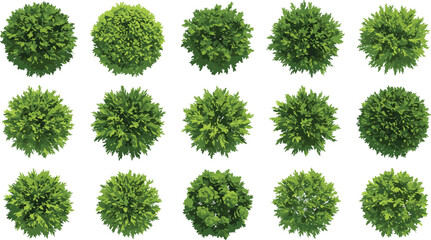 Top view green bush set, garden foliage collection, landscape shrub illustration, vector plant clipart, leafy ball shape, isolated greenery elements