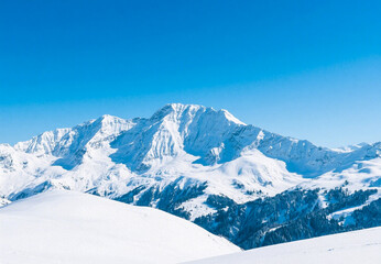 snow covered mountains
