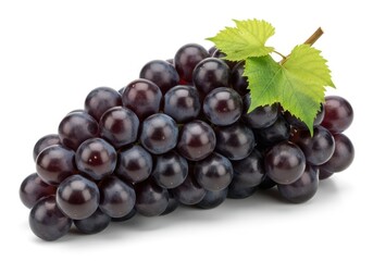 Fototapeta premium A close up studio style photograph of a ripe bunch of dark purple grapes with a green leaf