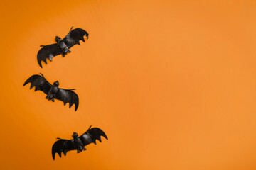 A modern greeting card for Halloween. Cobwebs, spiders, bats, a ghost on a fashionable orange...