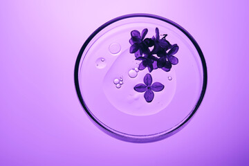 A drop of serum with bubbles and purple flowers in a petri dish.