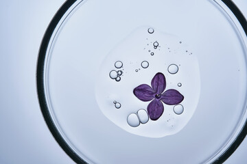 The texture of the serum in a petri dish with purple flowers.