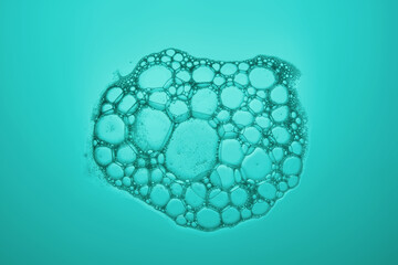 The texture of soap bubbles and foam in close-up on a green background.