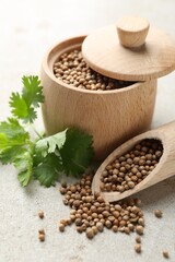 Coriander seeds and fresh cilantro sprigs on light textured table, closeup