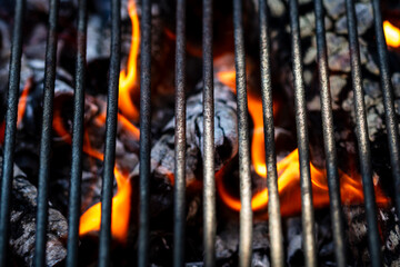 Burning wood and fire flames. Empty hot charcoal barbecue grill with bright flame