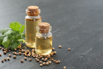 Aromatic oil in bottles, cilantro leaves and coriander seeds on dark textured table, closeup. Space...