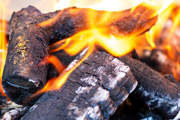 Burning wood and fire flames. Empty hot charcoal barbecue grill with bright flame