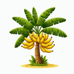 Cartoon style illustration of a banana tree with a bunch of yellow bananas. The leaves are green and the trunk is brown.  The tree stands on a patch of sandy ground.