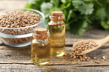 Coriander essential oil in bottles, seeds and cilantro leaves on wooden table, closeup