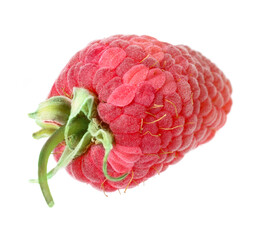 One fresh ripe raspberry isolated on white