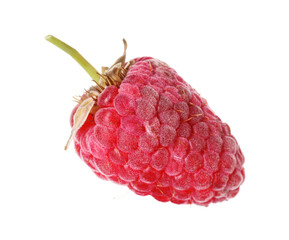 One fresh ripe raspberry isolated on white