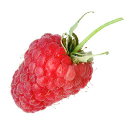 One fresh ripe raspberry isolated on white