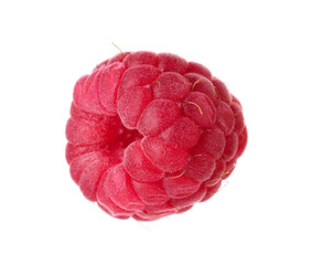 One fresh ripe raspberry isolated on white