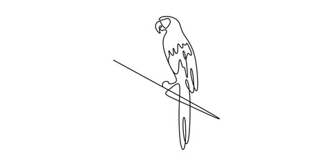 Parrot continuous one line drawing. Single line art parrot animal, vector illustration © MD
