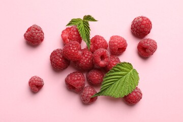 Tasty fresh ripe raspberries and leaves on pink background, flat lay