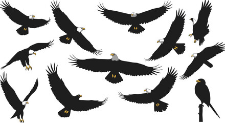 Realistic bald eagles in flight and perched, dynamic wildlife vector for nature, freedom, hunting, birds of prey themed illustrations