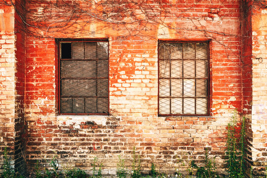 Old brick wall with rusty barred windows, cracked plaster, and creeping dry vines, showing decay and urban textures