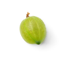 One fresh green gooseberry isolated on white, top view