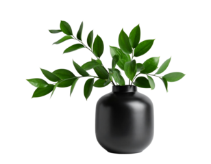 legant black vase with fresh green leaves