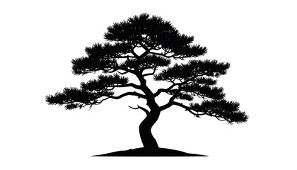 Silhouetted pine tree