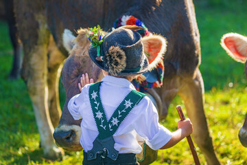 Viehscheid - Junge - Hirt - Kuh - Tracht - Original