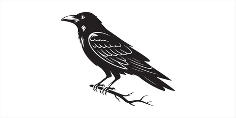 Crow t shirt design silhouette and vector line art Dark Crow Graphic for Casual, Gothic, and Urban Wear white background