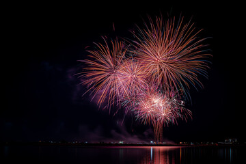 Fototapeta premium Colorful Firework, Celebration of Light - Fireworks, Fireworks in city. fireworks over the river. Low angle view of firework display over river against sky with copy space for text.
