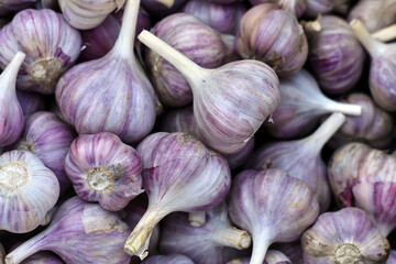 Food texture, garlic pile close up in market. Healthy food package. Garlic bulb top view. Healthy food ingredient.