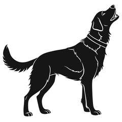 Isolated Black Silhouette of Dog