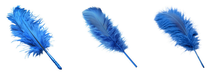Collection of vibrant blue feather duster lying flat isolated on a transparent background