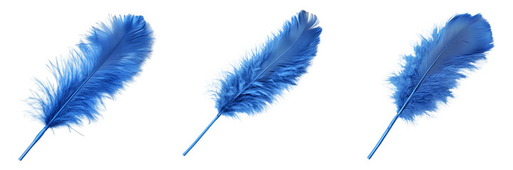 Collection of vibrant blue feather duster lying flat isolated on a transparent background