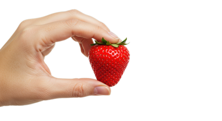 Hand holding fresh ripe strawberry isolated, healthy eating concept, delicious fruit, summer berry diet food