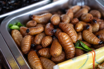 Silkworm Pupae or Bombyx mori are larval stage of silkworms, typically boiled or steamed, and sometimes lightly fried, a popular Thai, Korean or Chinese alternative food source