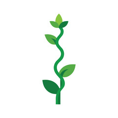 green plant isolated on white background